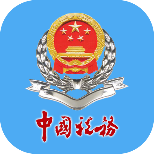 山东电子税务局app游戏截图