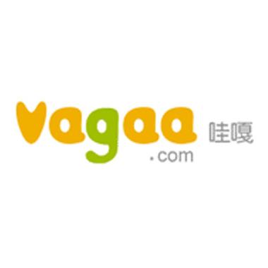 哇哇影视