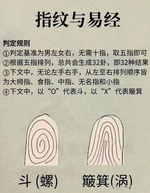 什么掌不能拍答案介绍游戏截图