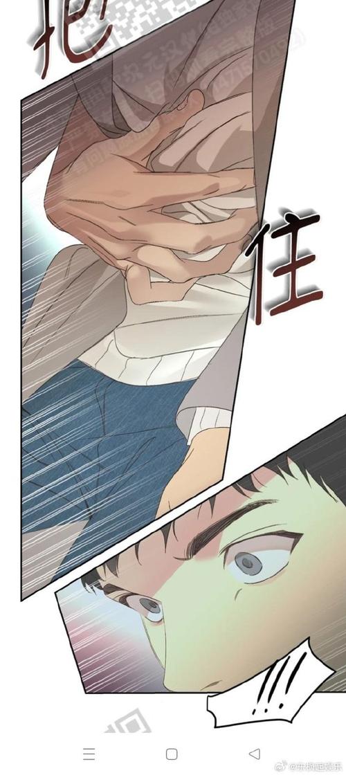 lightnovel官方汉化版图标