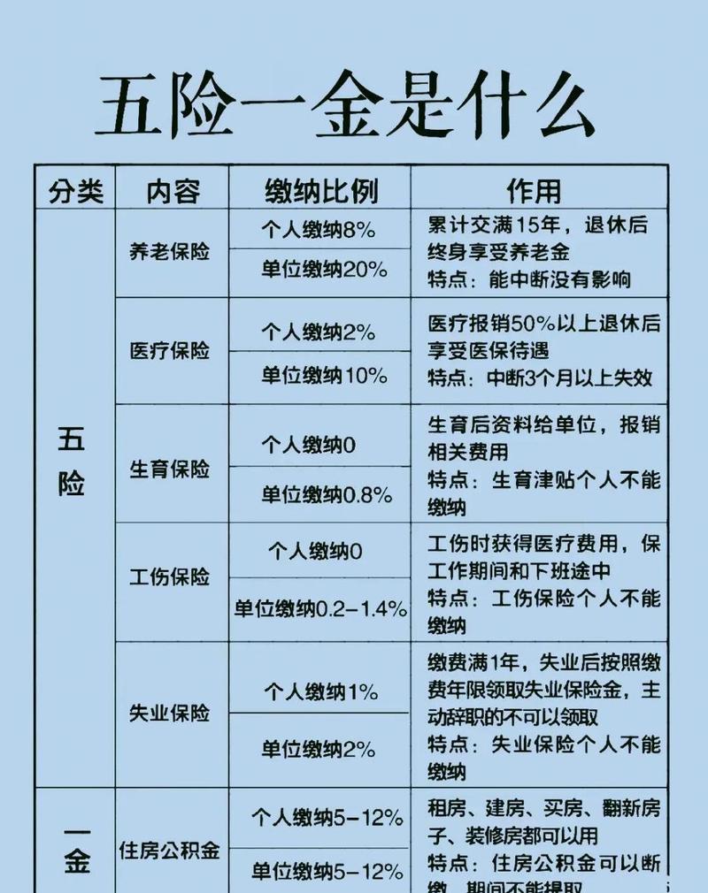 五险一金查询游戏截图