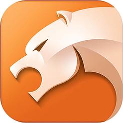 猎豹浏览器app缩略图