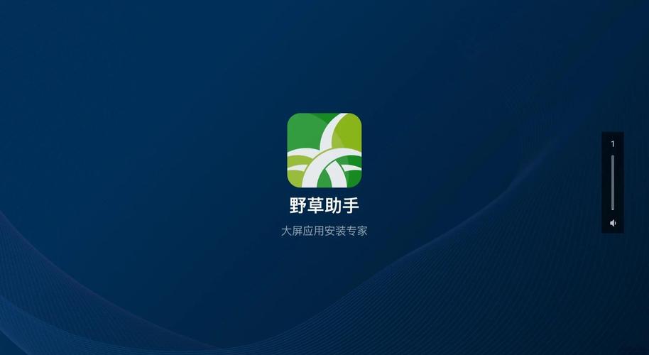 野草助手TV版最新版2025缩略图