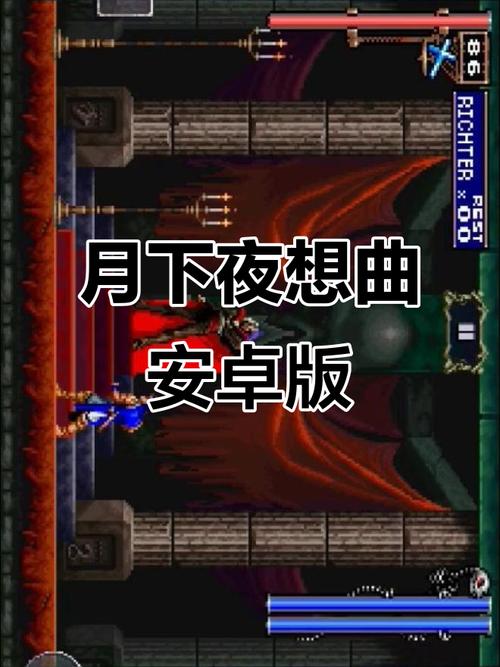 恶魔城月下夜想曲手机版汉化恶魔城:月下缩略图
