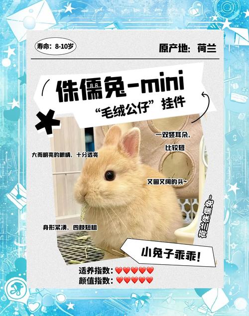 迷你兔子官方版2025最新版迷你兔下缩略图