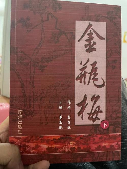 金瓶梅小说阅读缩略图