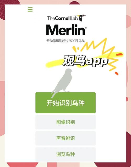 游戏鸟app游戏截图