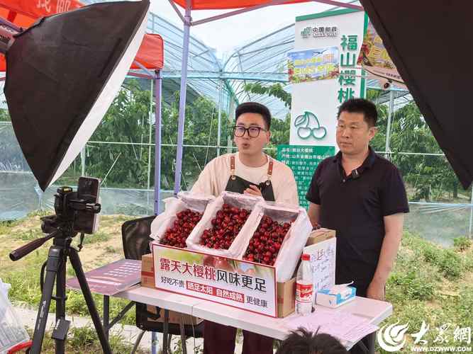 阴桃直播游戏截图