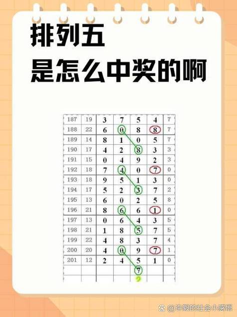 够力七星彩排列五奖表最新版本图标