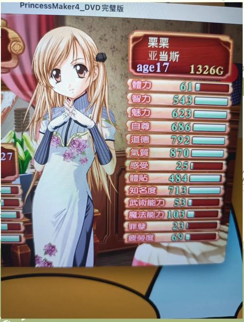 美少女梦工厂4游戏游戏截图