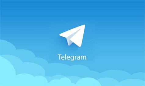 纸飞机telegeramX版缩略图