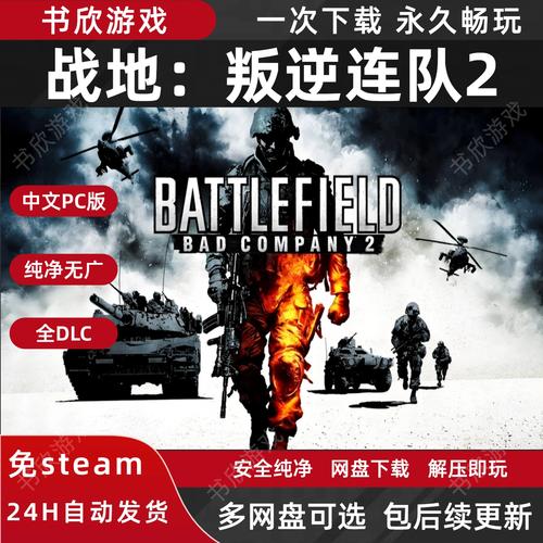 战地叛逆连队2游戏2025最新pc版