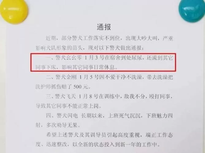 四只警犬因违纪被通报批评