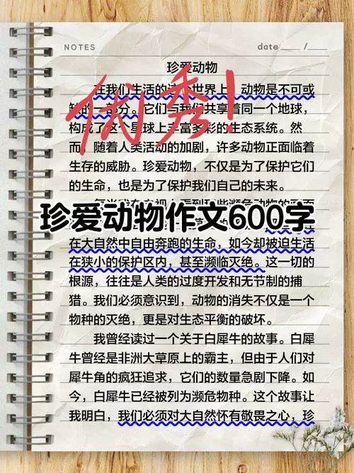 关爱动物的优秀作文
