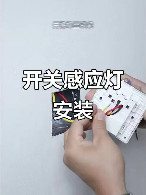 感应灯的接线方法游戏截图