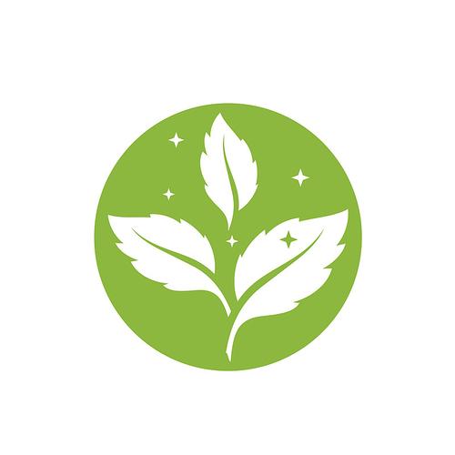 薄荷相似的植物图标