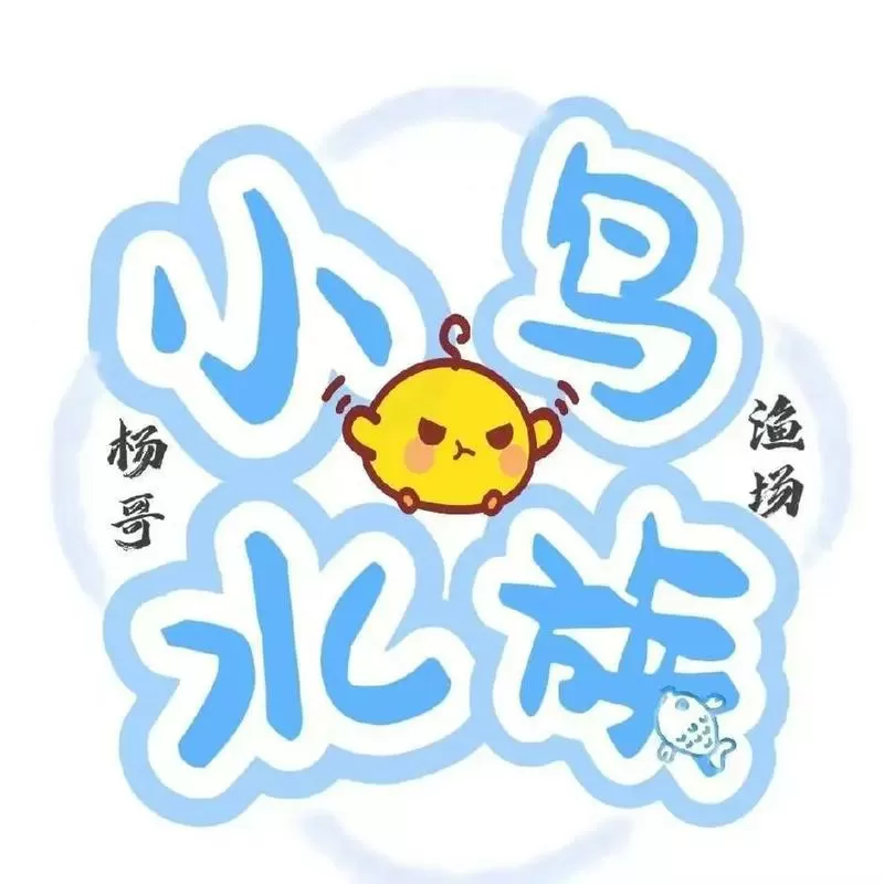小鸟直播改名叫什么了游戏截图
