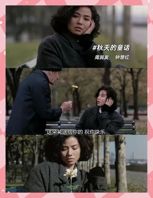 关于枫叶的电影图标