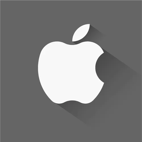 iphone照片全白了