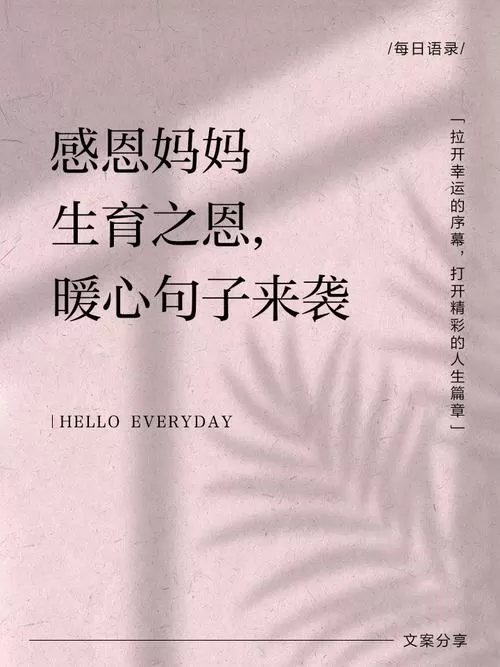 感谢母亲生育之恩的金句缩略图