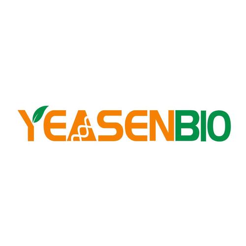 yeasen公司官网缩略图