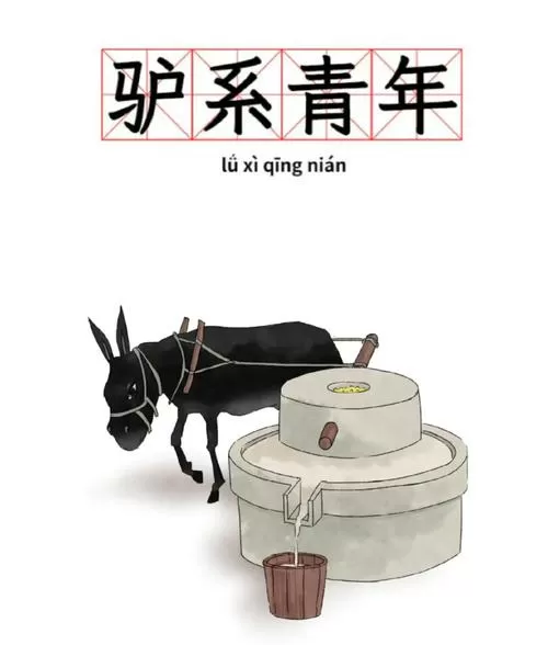 驴聪明还是狗聪明缩略图