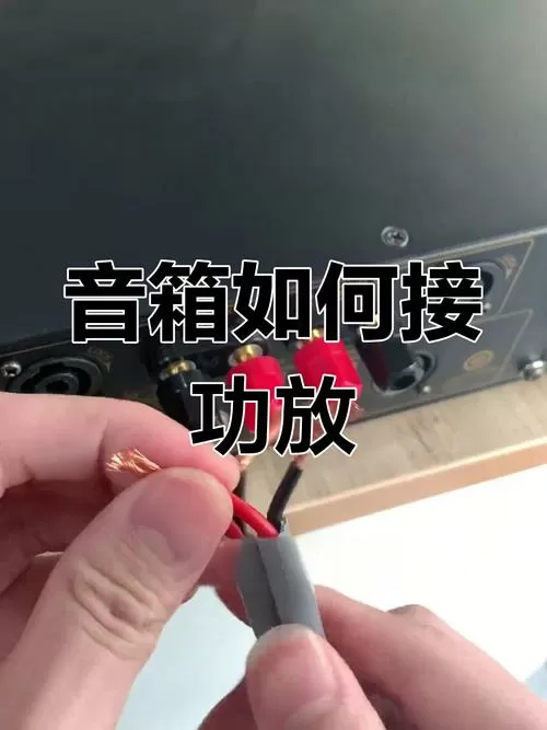一对音箱可接二台功放吗