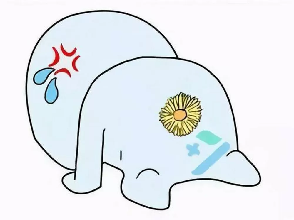 肛门坠痛缩略图